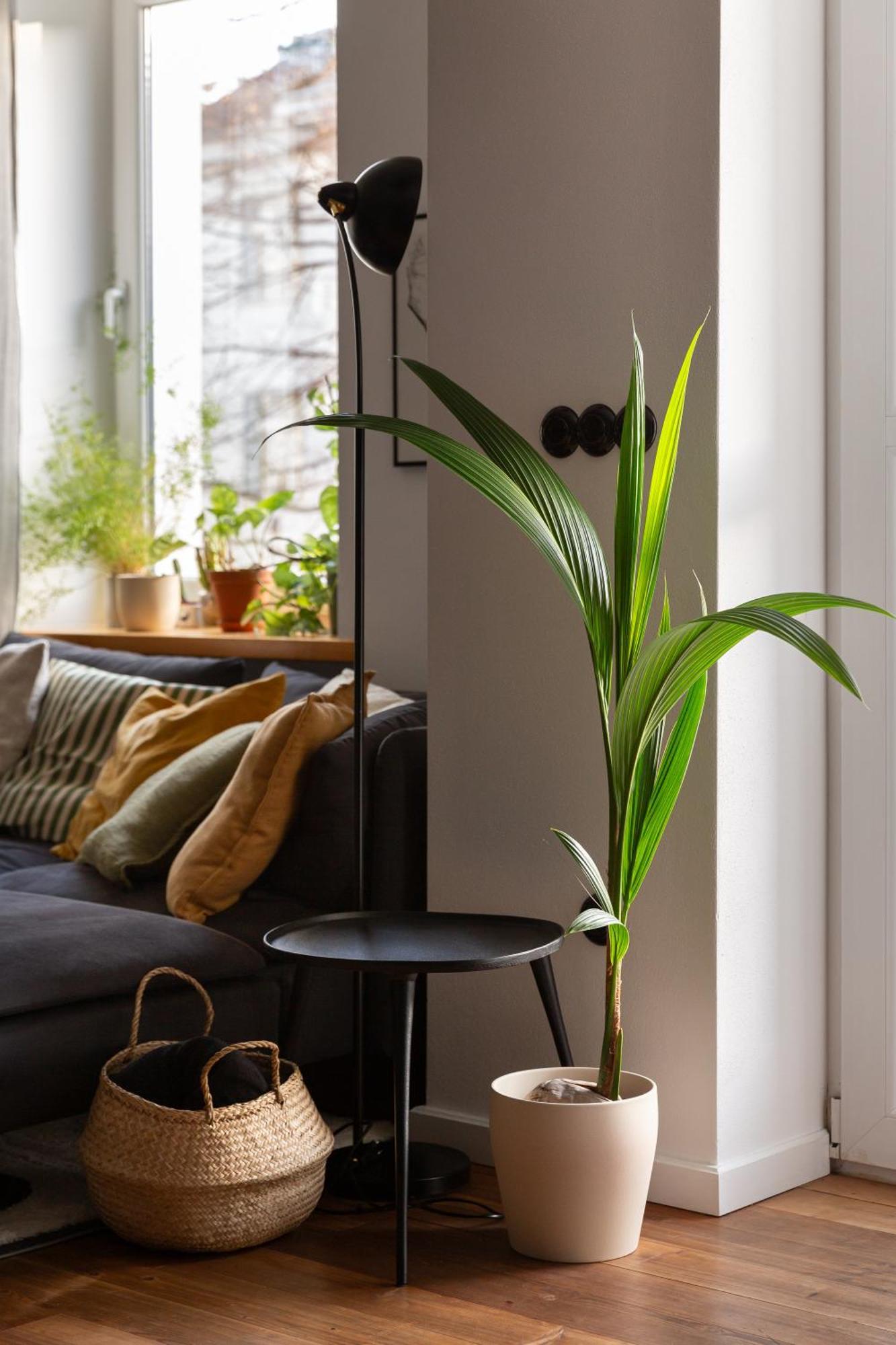 Evergreen - Old Town Spacious Stylish Apartment With Ac And One And A Half Bath, Baby & Kid- Friendly Bratislava Exterior foto